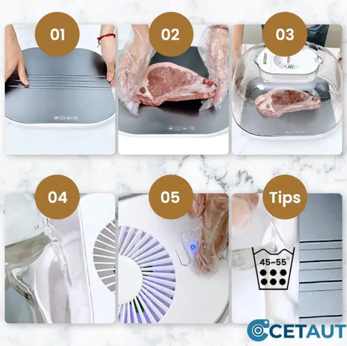Home Frozen Meat Ingredients Thawing Machine 🥩