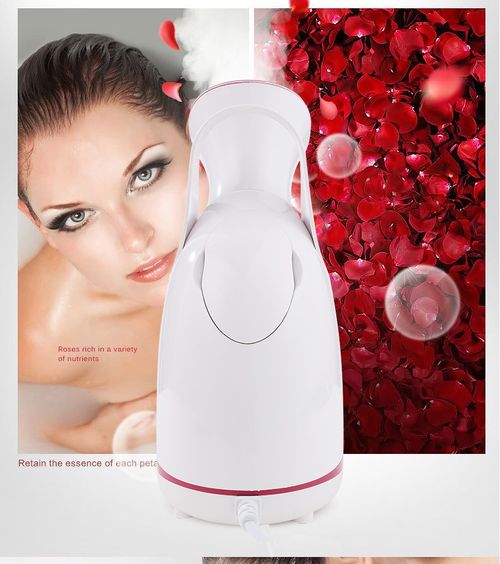 Home Fruit Veg Hot Steam Nano Facial Steamer
