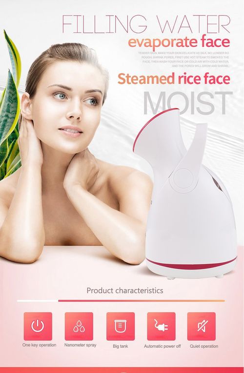 Home Fruit Veg Hot Steam Nano Facial Steamer