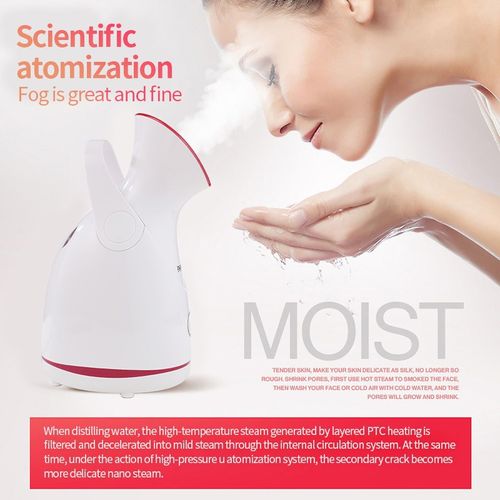 Home Fruit Veg Hot Steam Nano Facial Steamer