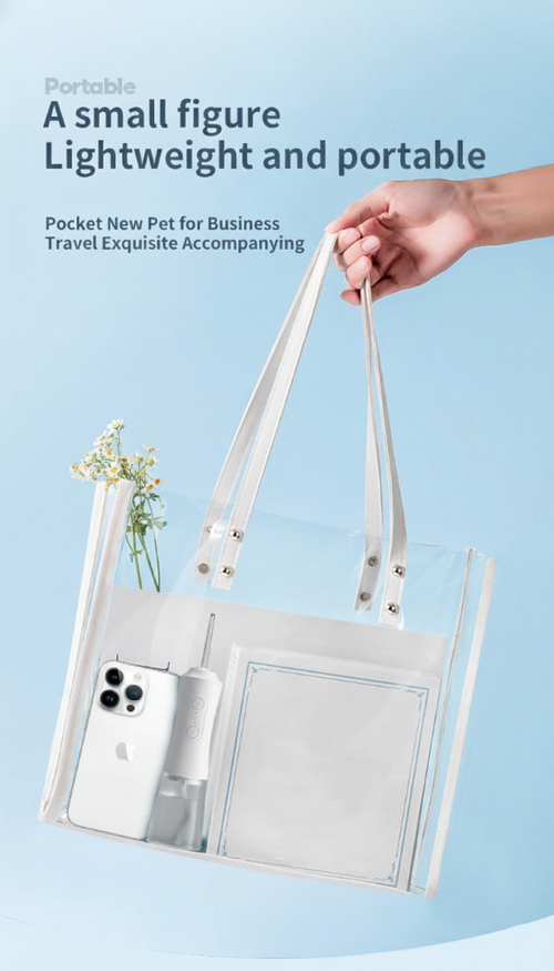 AquaBurst Travel Flosser Slim