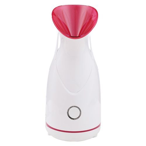 Home Fruit Veg Hot Steam Nano Facial Steamer