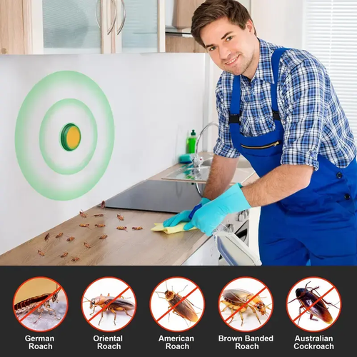 Cockroach Exterminator