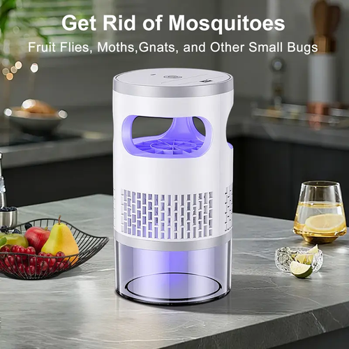 Insect Trap