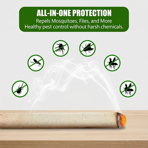 Gastrodia Aromatherapy Sticks