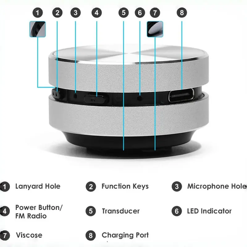 Anything speaker