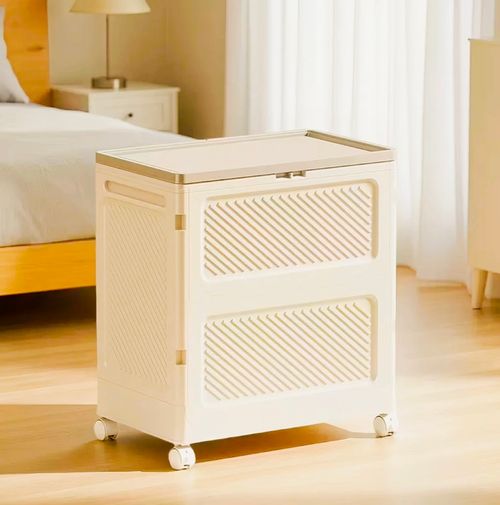 Large Capacity Storage Box