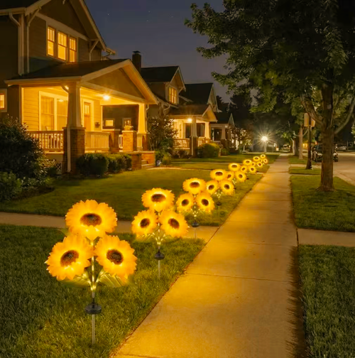 Solar  Sunflower Lights