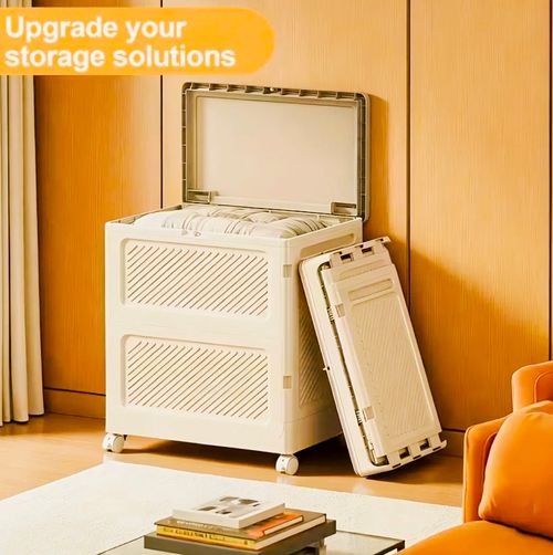 Large Capacity Storage Box
