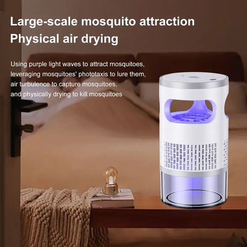 Insect Trap
