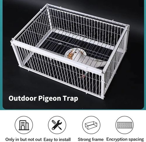 Pigeon cage