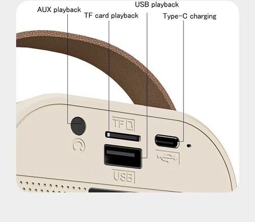 Speaker Outdoor Karaoke Party Home KTV Speaker with Microphone Stage Music