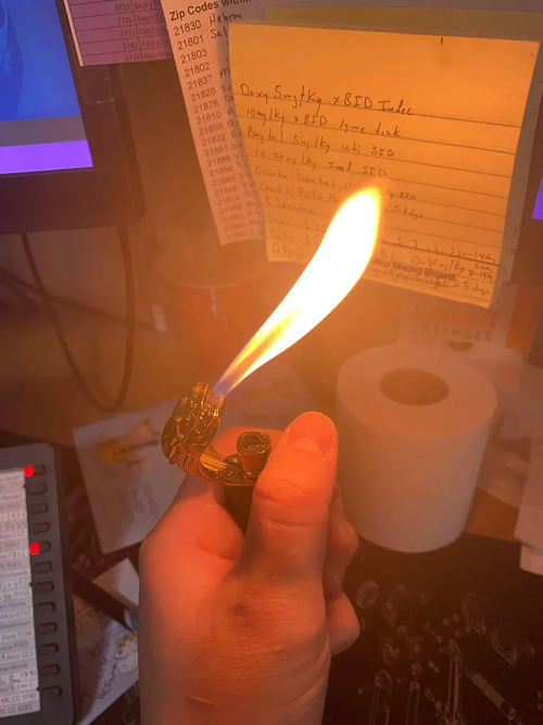 Buy 1 get 1 free🔥Crocodile Double Flame Lighter