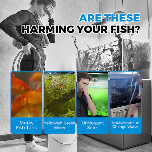 Automatic Aquarium Filter System