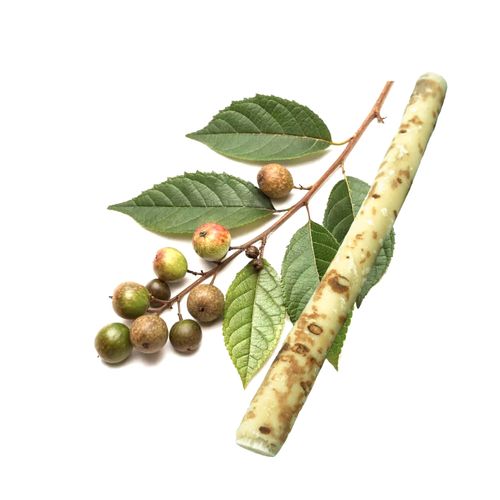 Natural Miswak Toothbrush Set, Teeth Cleaning Stick for Healthy Gums and Freshing Breath, Portable Natural Root Stick, Traditional Hand-Made Oral Care for Travel