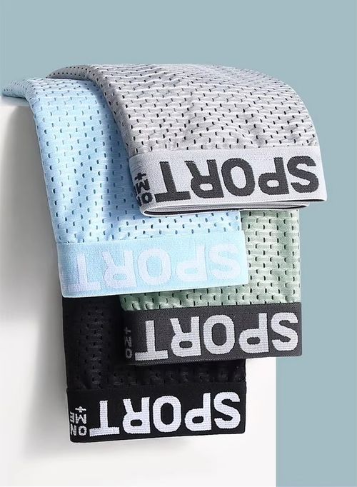 🔥🔥2 Pack Men's Breathable Mesh Briefs, Letter Print, Ultra-Thin Quick Dry, Seamless Boxer Briefs🔥🔥