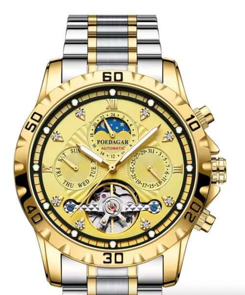 POEDAGAR Men's Mechanical Watch Waterproof Luxury Luminous Multifunctional Men's Watch