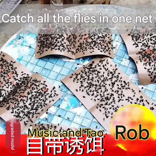 50 pieces, good for the whole summer, strong sticky fly paper, fly catcher