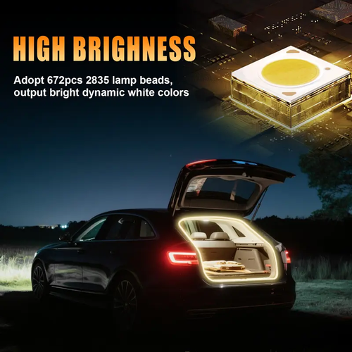 Dynamic Trunk LED Kit