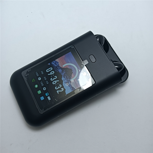 Smart All-In-One Power Earbuds with Screen