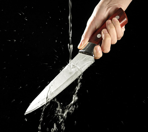 Professional Boning Knife – Ultra Sharp, Durable