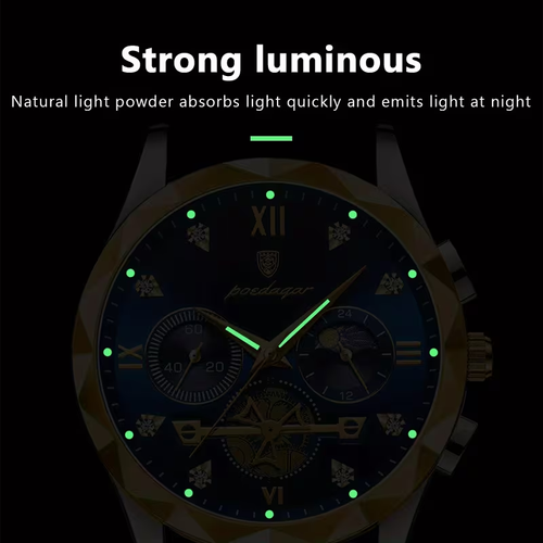 Luxury Waterproof Stainless Steel Luminous Men's Watch