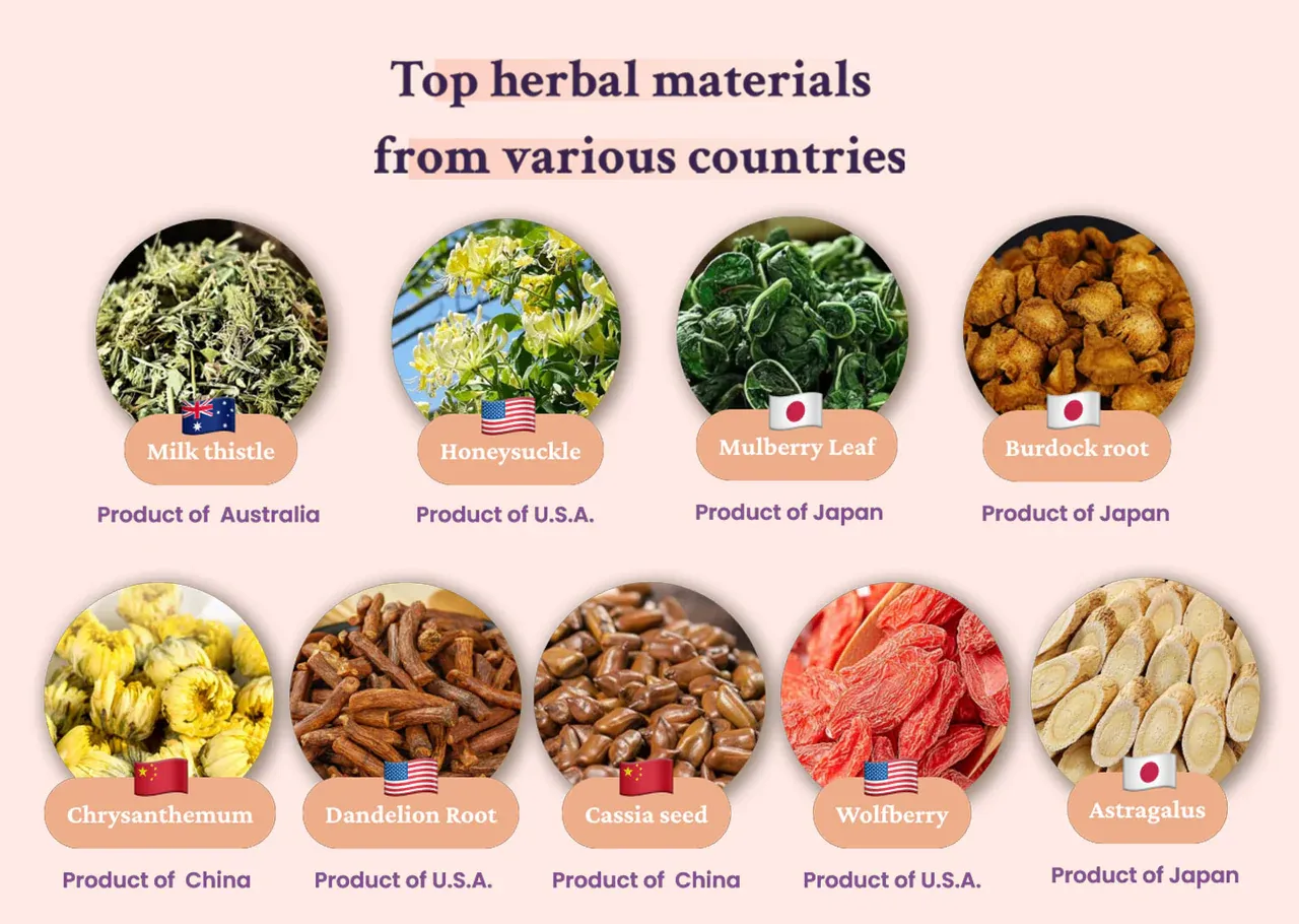 Liver tea formula Chrysanthemum decided liver oxen root gold and silver flower tea combination stayed up late to raise health tea bags clear fire to raise liver tea