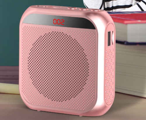 Teachers teaching portable speakers