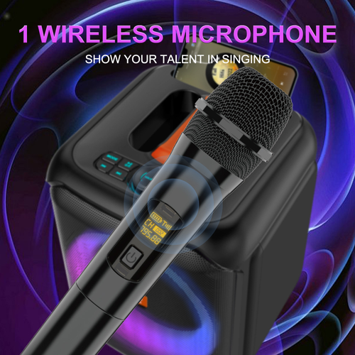 Home Karaoke System（2 Microphones）