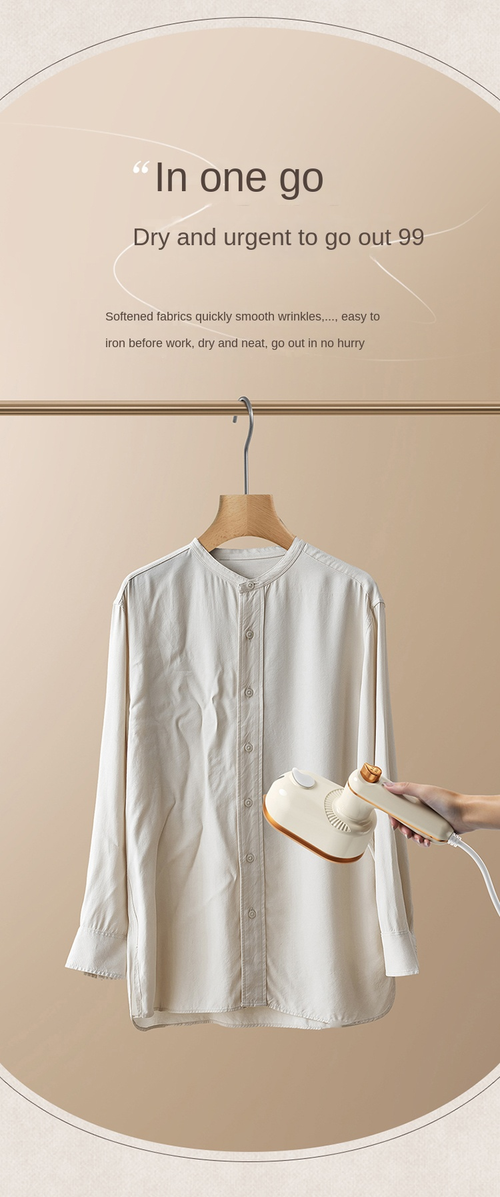 2-in-1 Dry & Wet Handheld Garment Steamer