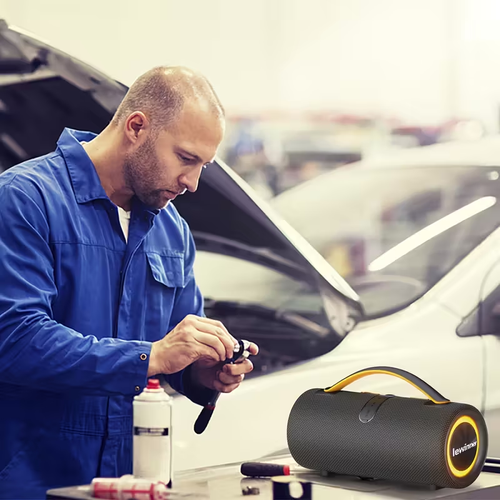 Lewinner Portable Wireless Speaker