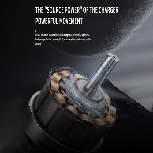 Pro Smart Pulse Battery Repair Charger