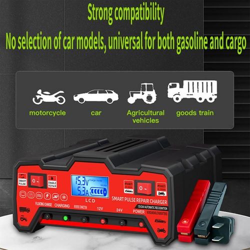 Pro Smart Pulse Battery Repair Charger