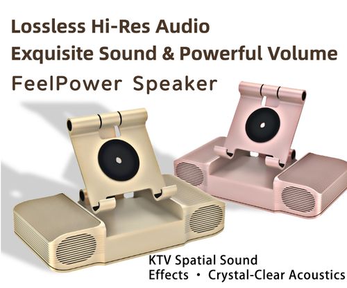 Bluetooth speaker with karaoke microphone