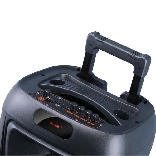 12-inch outdoor karaoke wooden bass coaxial active speaker trolley audio speaker subwoofer with wireless microphone