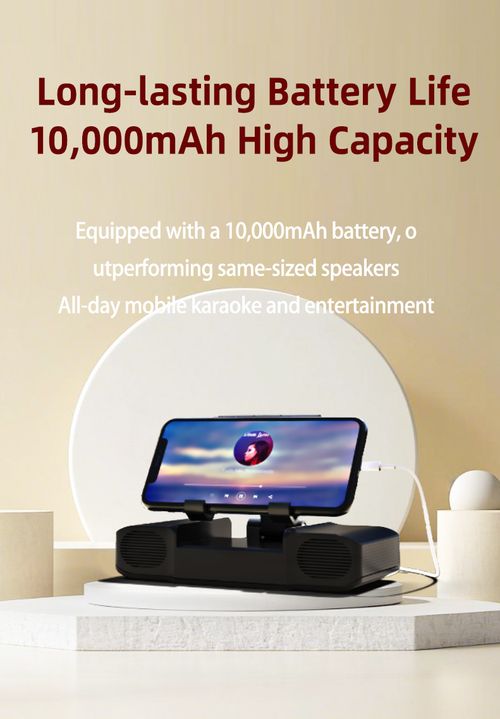 Bluetooth speaker with karaoke microphone
