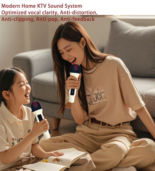 Bluetooth speaker with karaoke microphone