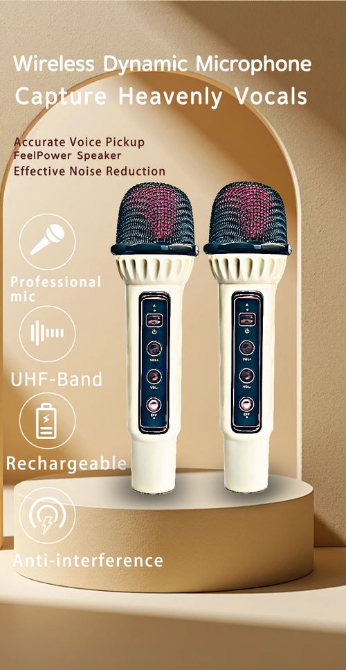 Bluetooth speaker with karaoke microphone