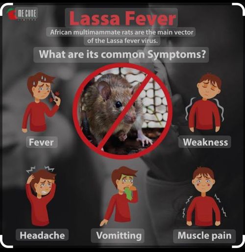 SAY NO TO LASSA FEVER WITH OUR PLASTIC MOUSE TRAP