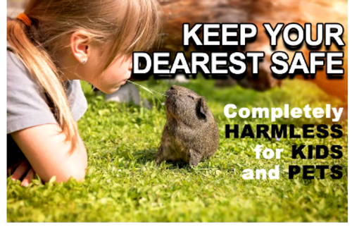 SAY NO TO LASSA FEVER WITH OUR PLASTIC MOUSE TRAP