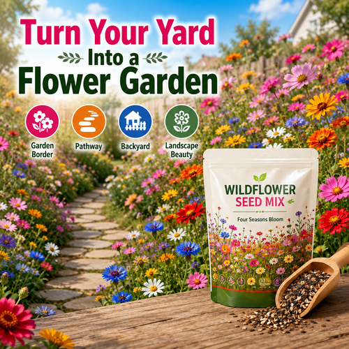 🔥HOT SALE🔥 COD！Water Lily Seeds, Open-Petaled Lotus Seeds, Multi-Colored Lotus Seeds, Large Water Lily Seedlings, Bowl-Shaped Water Lilies, Four-Season Blooming Seeds, Bowl-Shaped Water Lily Seeds
