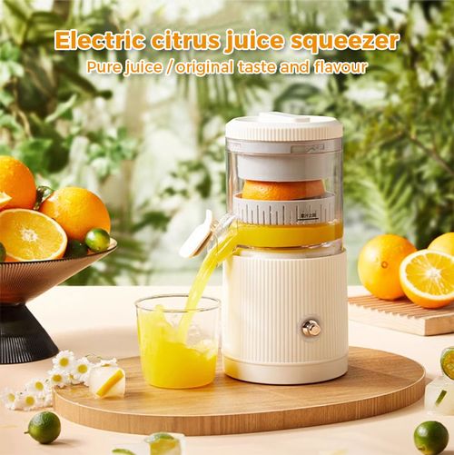 household juicer