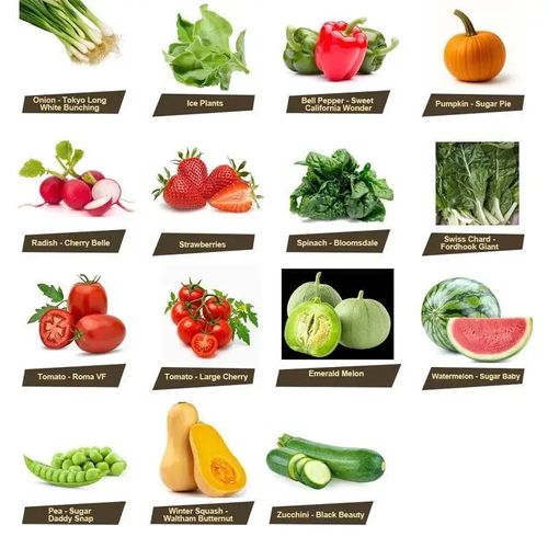 Vegetable Seed Vault Kit