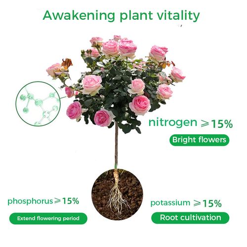 Universal Schnellblühendes Pulver Für Blumenpflanzen