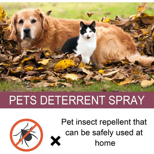 Instant Equine Fly Repellent