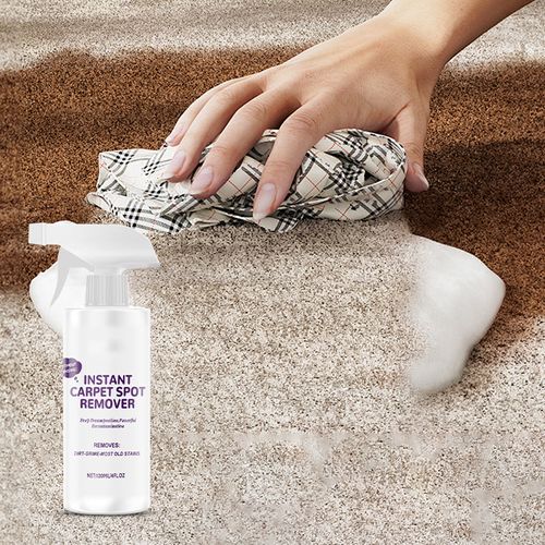 Carpet Cleaner