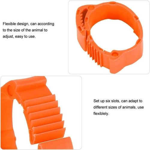 Poultry Leg Bands