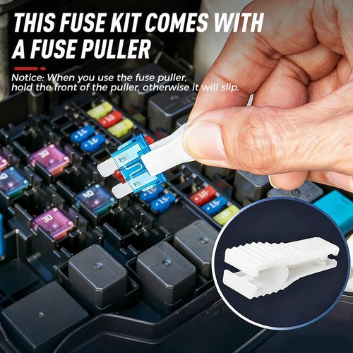 Car Fuse Assortment
