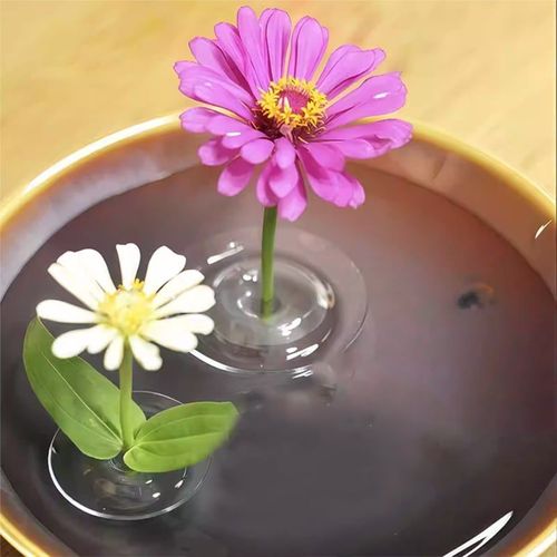 Creative Floating Floral Arrangement Holder