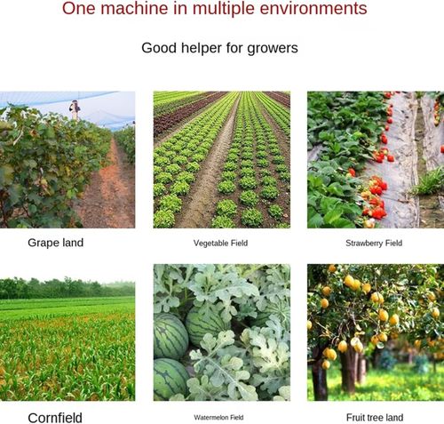 Multifunctional Portable Fruit Tree Fertilizer Applicator